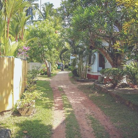 היקדואה Hikka Surf Hostel מראה חיצוני תמונה